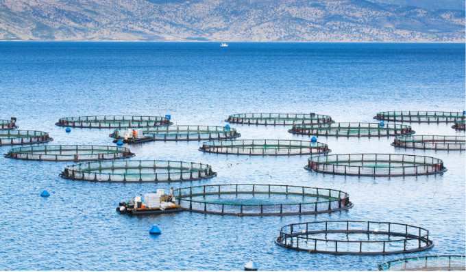 aquaculture